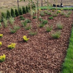 Ogrody Toki Tomasz Słaby - Nasadzenia