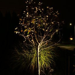 Ogrody Toki Tomasz Słaby - Oświetlenie ogrodowe