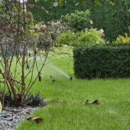 Automatyczny system nawadniania trawnika w ogrodzie z ozdobnymi krzewami i tujami w tle, zraszacz w akcji.