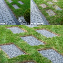 Ogrody Toki Tomasz Słaby - Przycinanie trawy