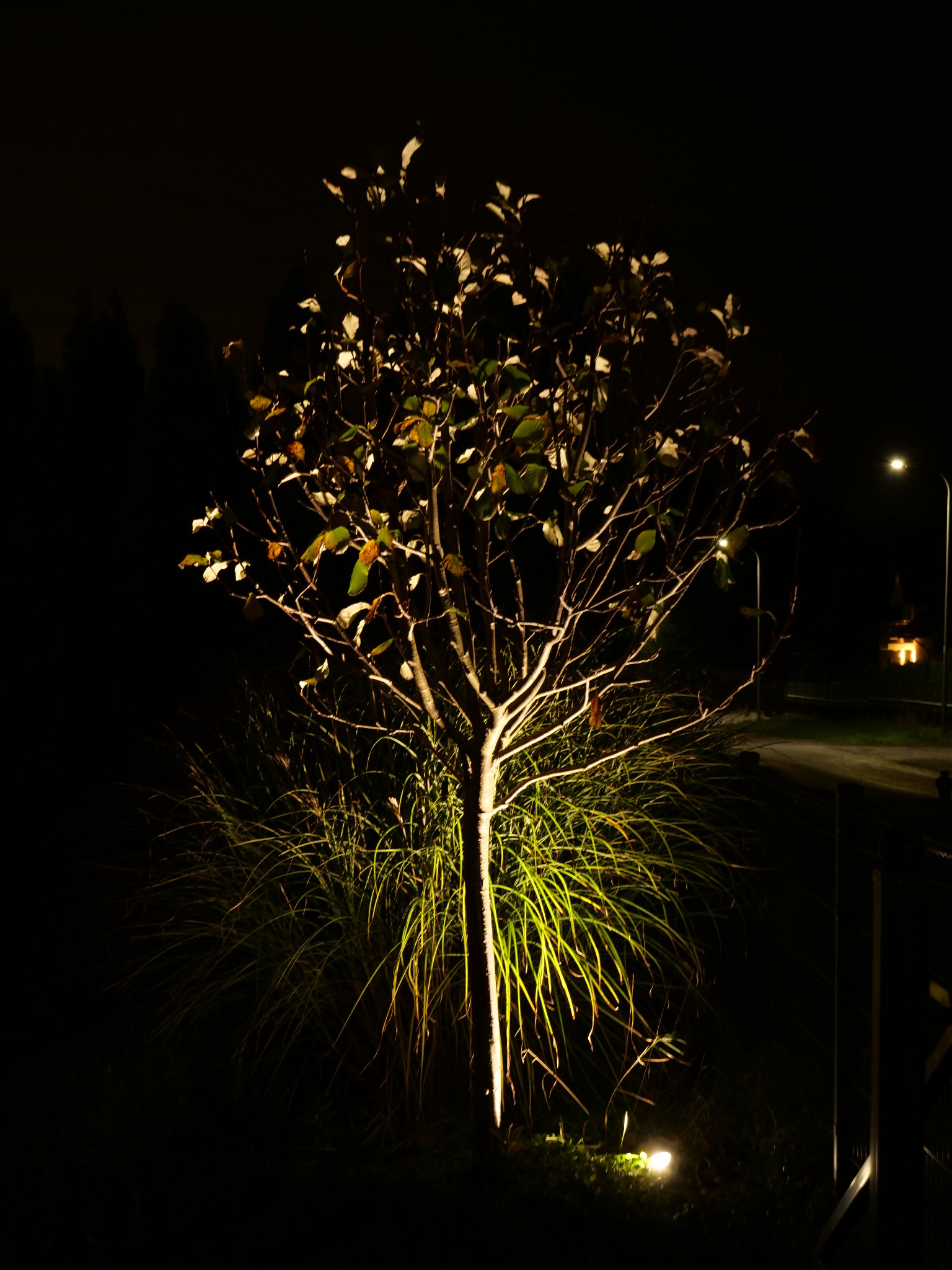 Oświetlenie ogrodowe