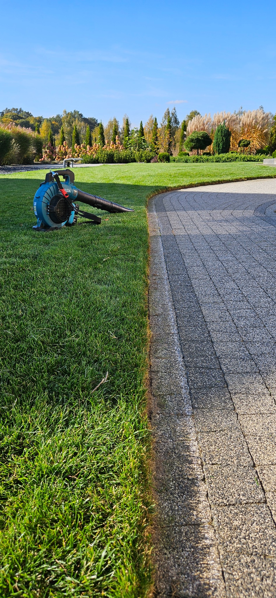 Niebieski dmuchawa do liści Makita spoczywa na trawniku obok brukowanej ścieżki w słoneczny dzień. W tle widoczny zadbany ogród z różnorodną roślinnością.