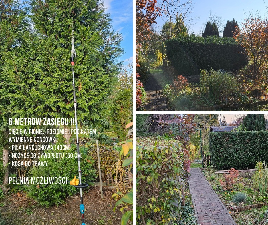 Wielopanelowe zdjęcie ogrodu: z lewej narzędzie do cięcia na długim wysięgniku przy wysokim drzewie, u góry z prawej równo przycięty żywopłot i ścieżka, na dole z prawej ścieżka z kostki prowadząca...