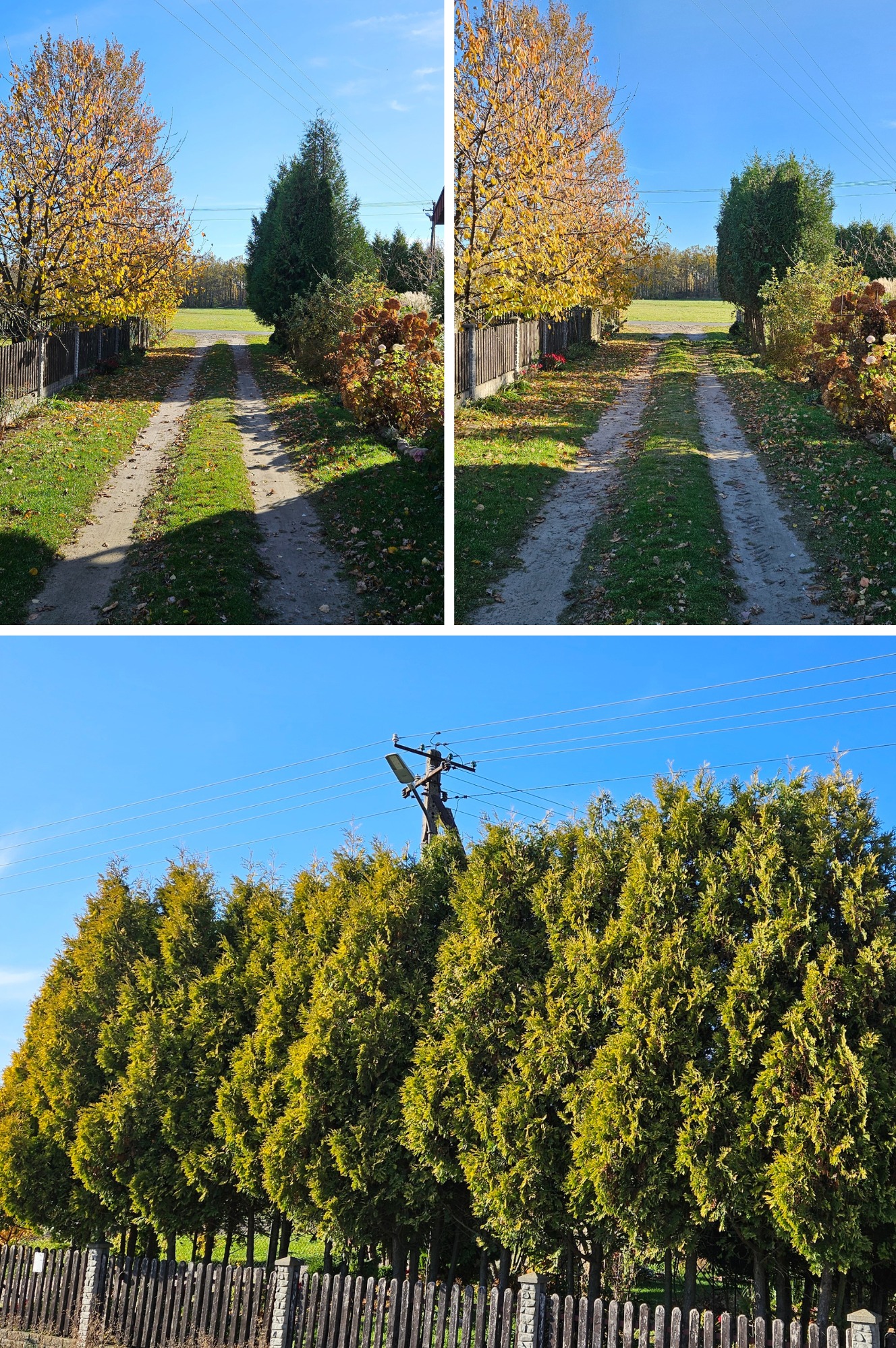Przycinanie drzewek zagrażających liniom elektrycznym
