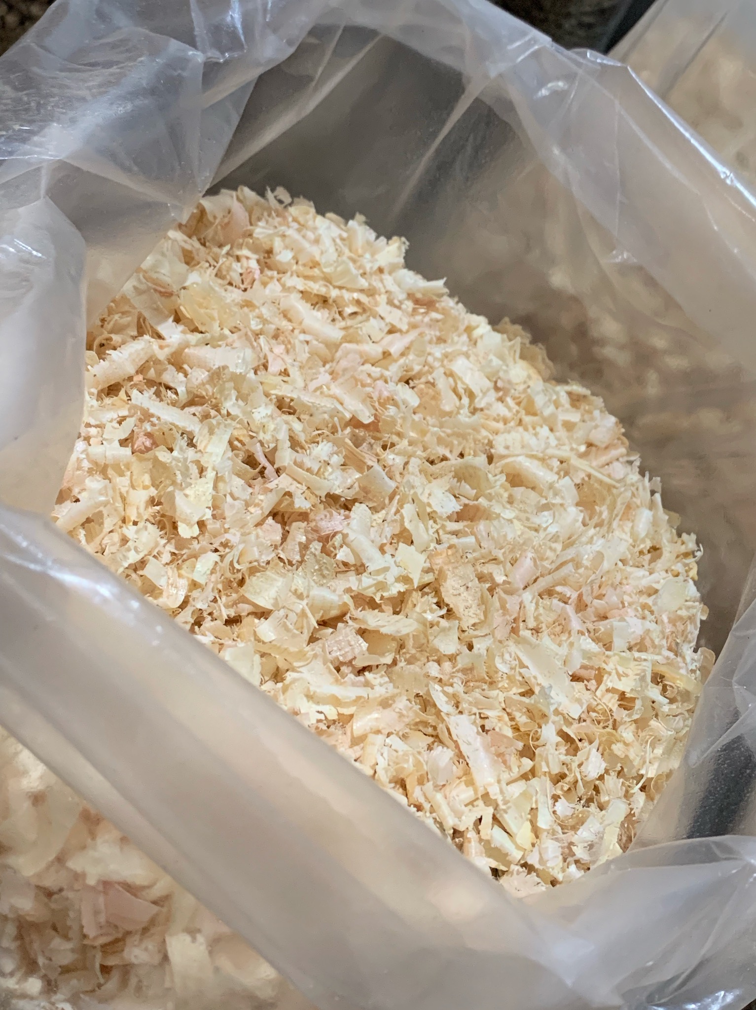 Jasne trociny w przezroczystym worku foliowym, widoczne drobne, jasnoróżowe fragmenty drewna.