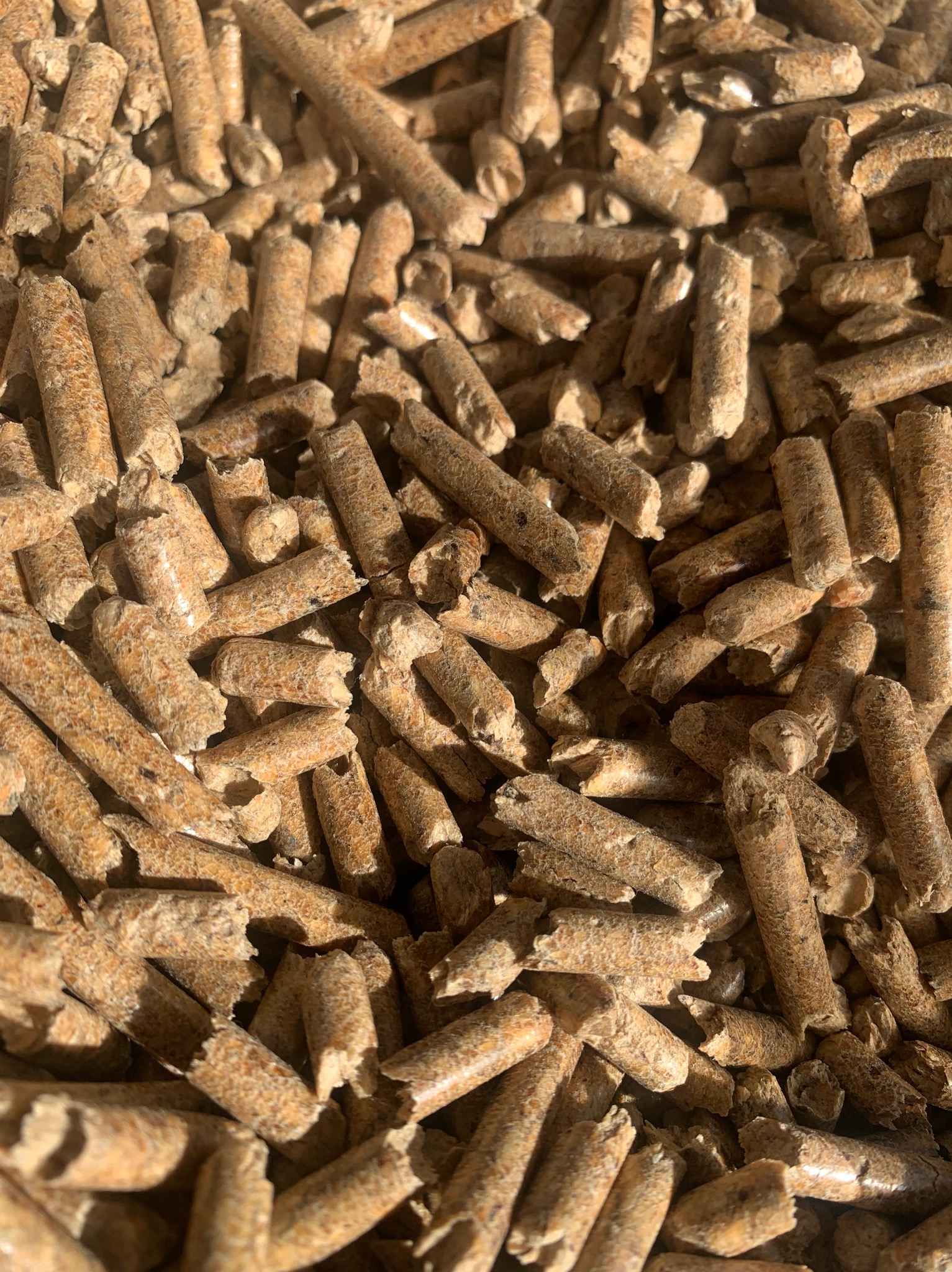Stos brązowych pelletów drzewnych, widoczne różnice w odcieniach i fakturze poszczególnych granulek, oświetlone naturalnym światłem.