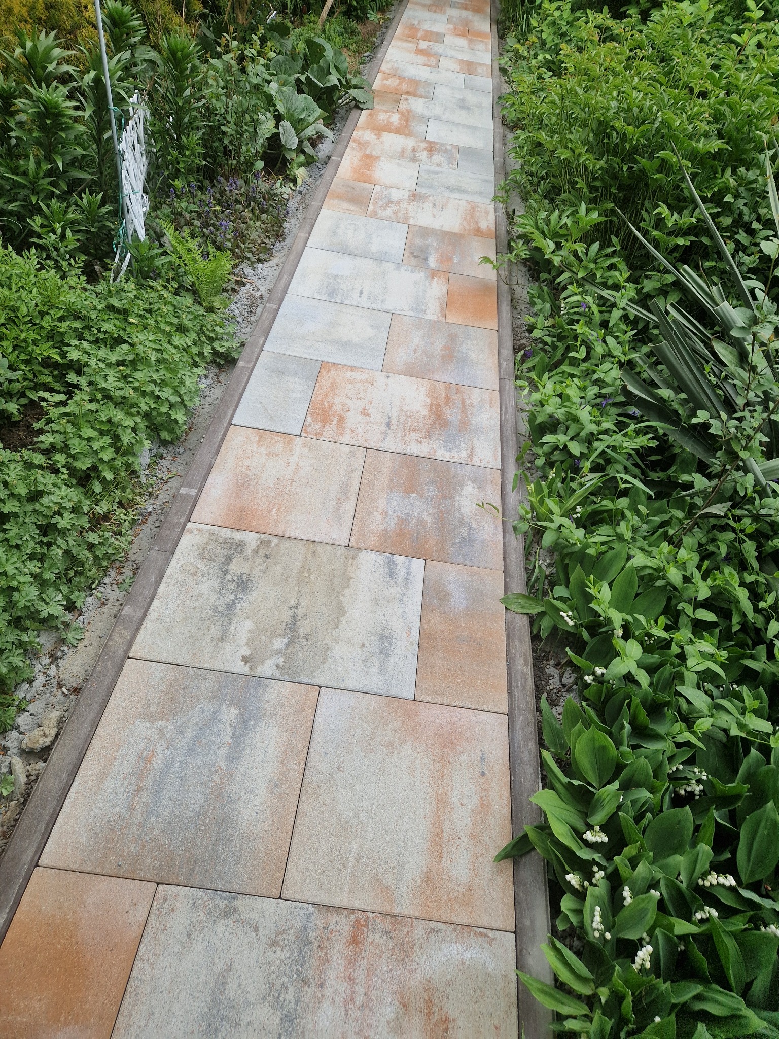 Ścieżka z kostki brukowej o nieregularnym wzorze, obramowana drewnianym krawężnikiem, otoczona bujną zielenią, w tym konwaliami, tworząca estetyczny element ogrodu.