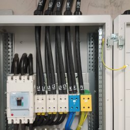 NAZARII HIRNYI - Otwarta szafa elektryczna z zainstalowanymi zabezpieczeniami, czarnymi przewodami oznaczonymi L1, L2, L3, N, PE, oraz kolorowymi złączkami.