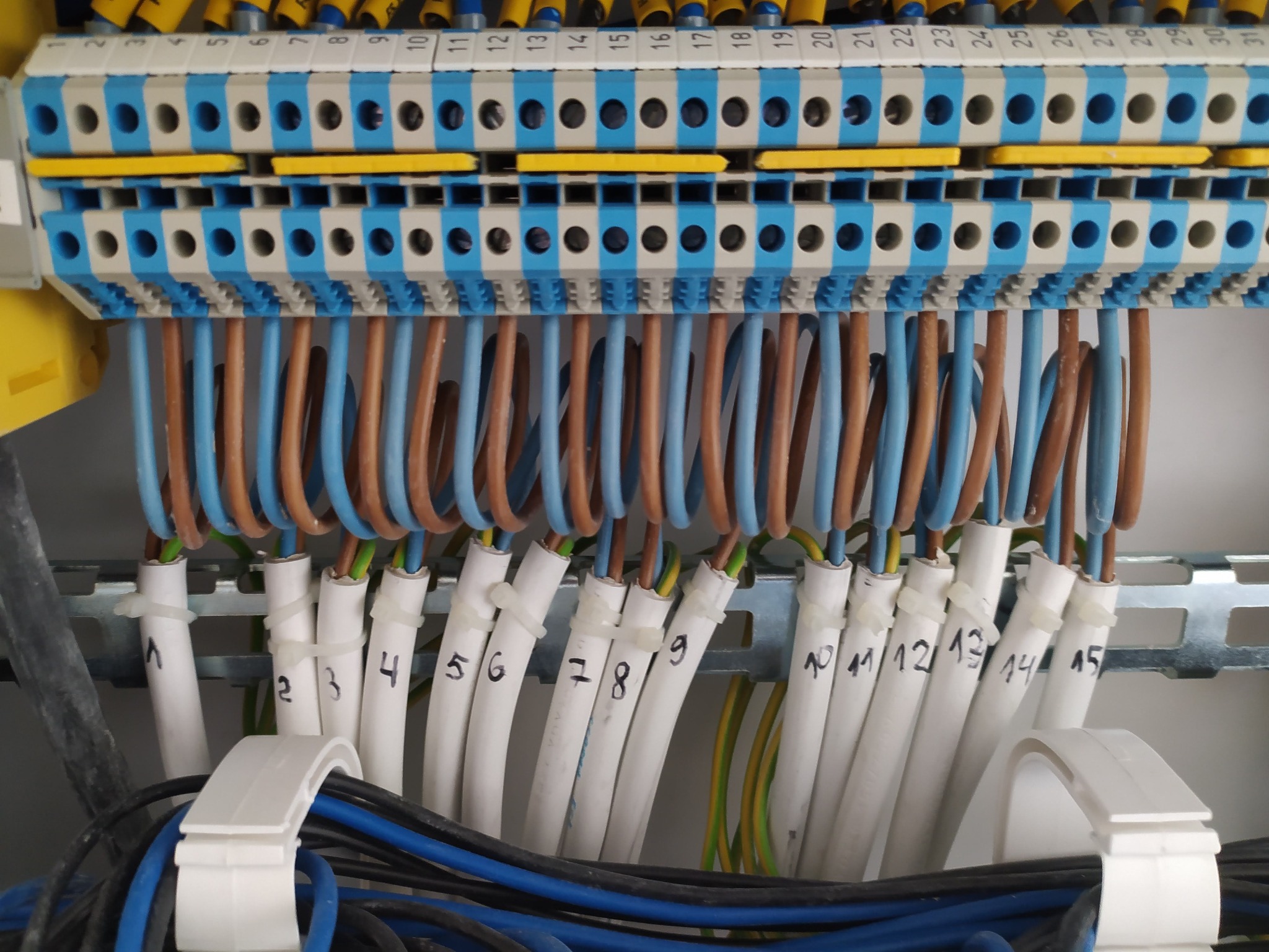 Szczegółowe ujęcie rozdzielnicy elektrycznej z numerowanymi przewodami, różnokolorowe kable podłączone do listwy zaciskowej z niebieskimi i białymi elementami, widoczne oznaczenia na przewodach...