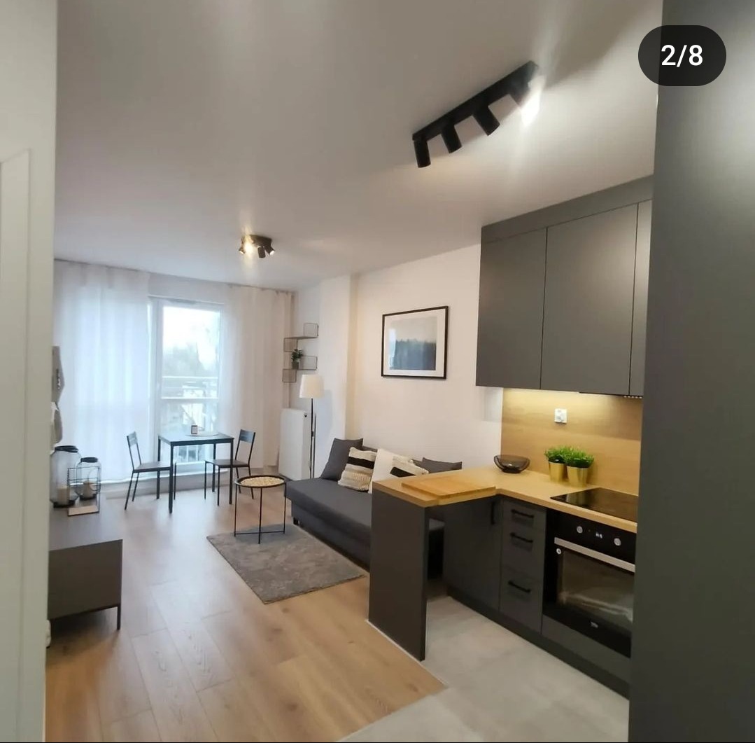 Nowoczesne wnętrze kawalerki z aneksem kuchennym w odcieniach szarości, z drewnianym blatem, oświetleniem punktowym i parkietem w jasnym odcieniu drewna.