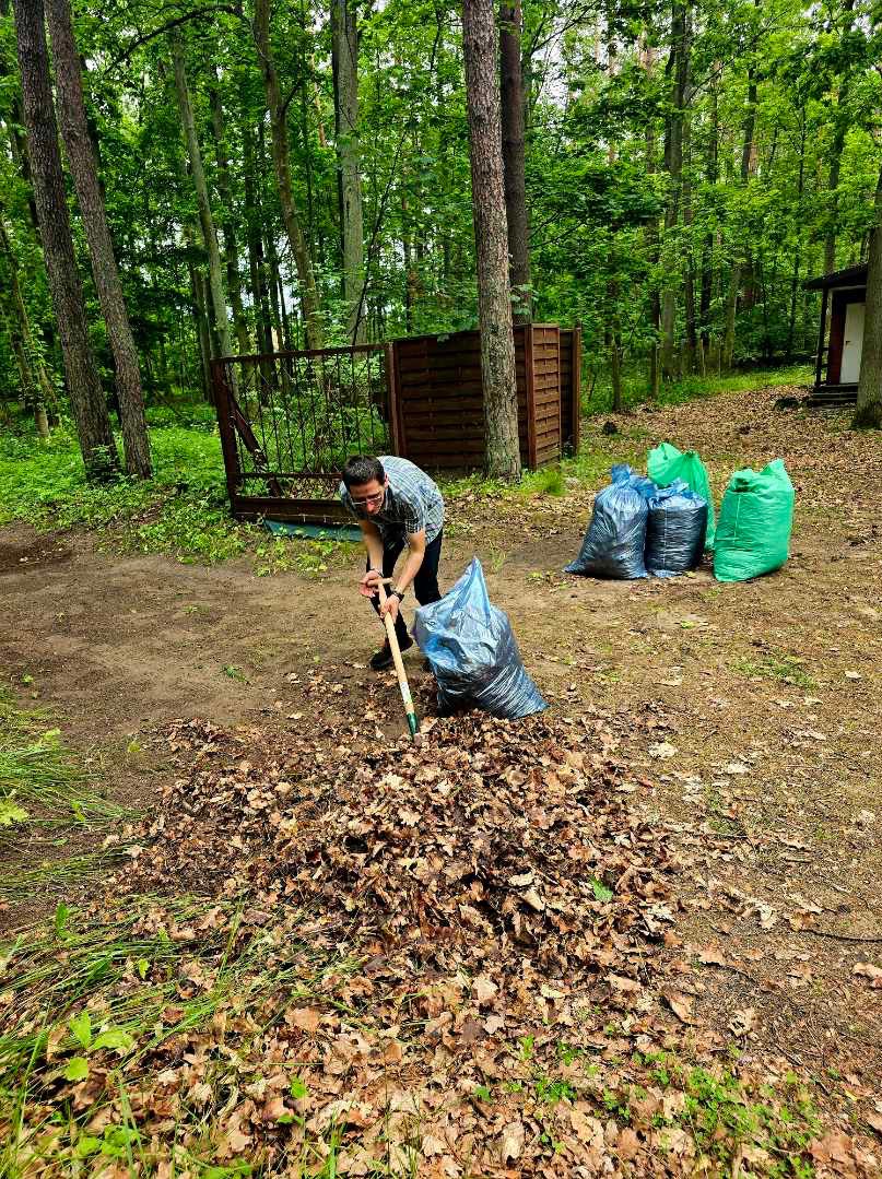 Mężczyzna grabi liście w lesie w Katowicach. W tle worki z zebranymi liśćmi. Praca w toku, widok na las i ogrodzenie.