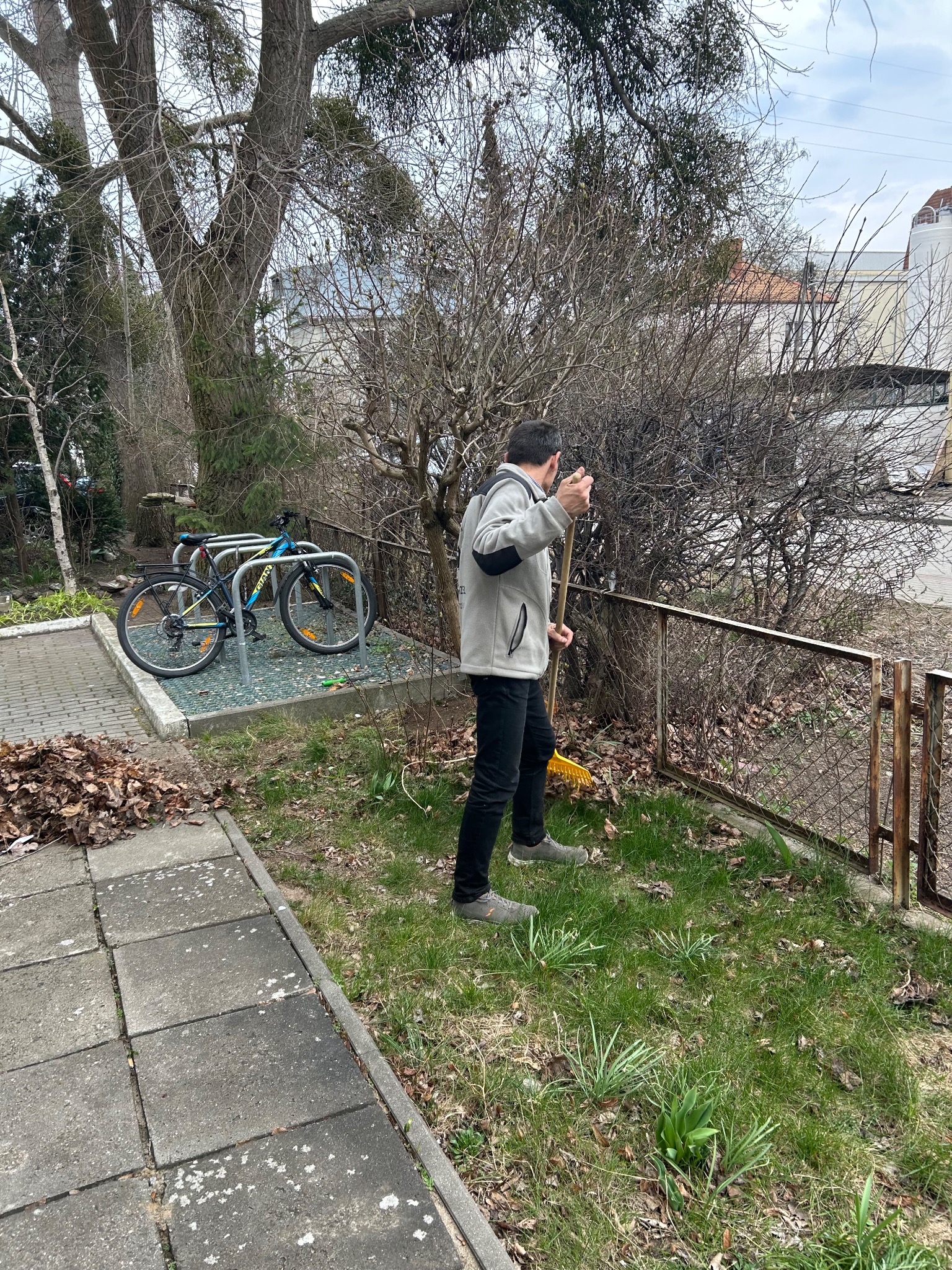 Mężczyzna grabi liście na trawniku przy ogrodzeniu. W tle rowery i drzewa bez liści. Prace porządkowe w ogrodzie w sezonie jesiennym.