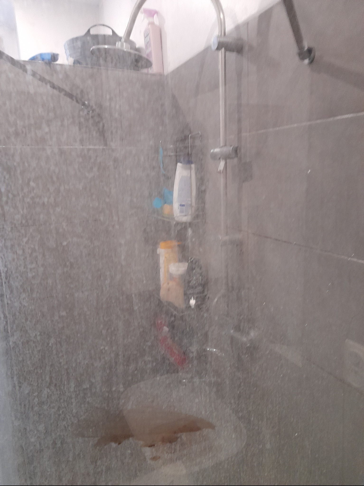 Zabrudzona kabina prysznicowa z widocznym osadem na szklanych ściankach, półki z kosmetykami i słuchawka prysznicowa.