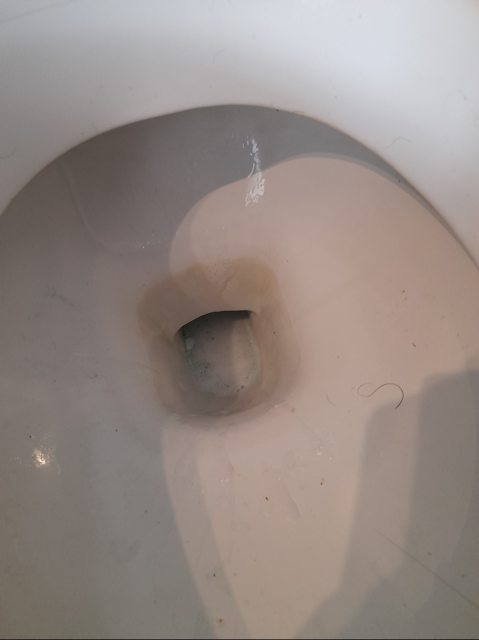 Wnętrze toalety z widocznymi zabrudzeniami i brudną wodą, pojedynczy włos na powierzchni.