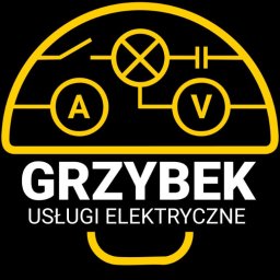 Usługi elektryczne Sebastian Grzybek