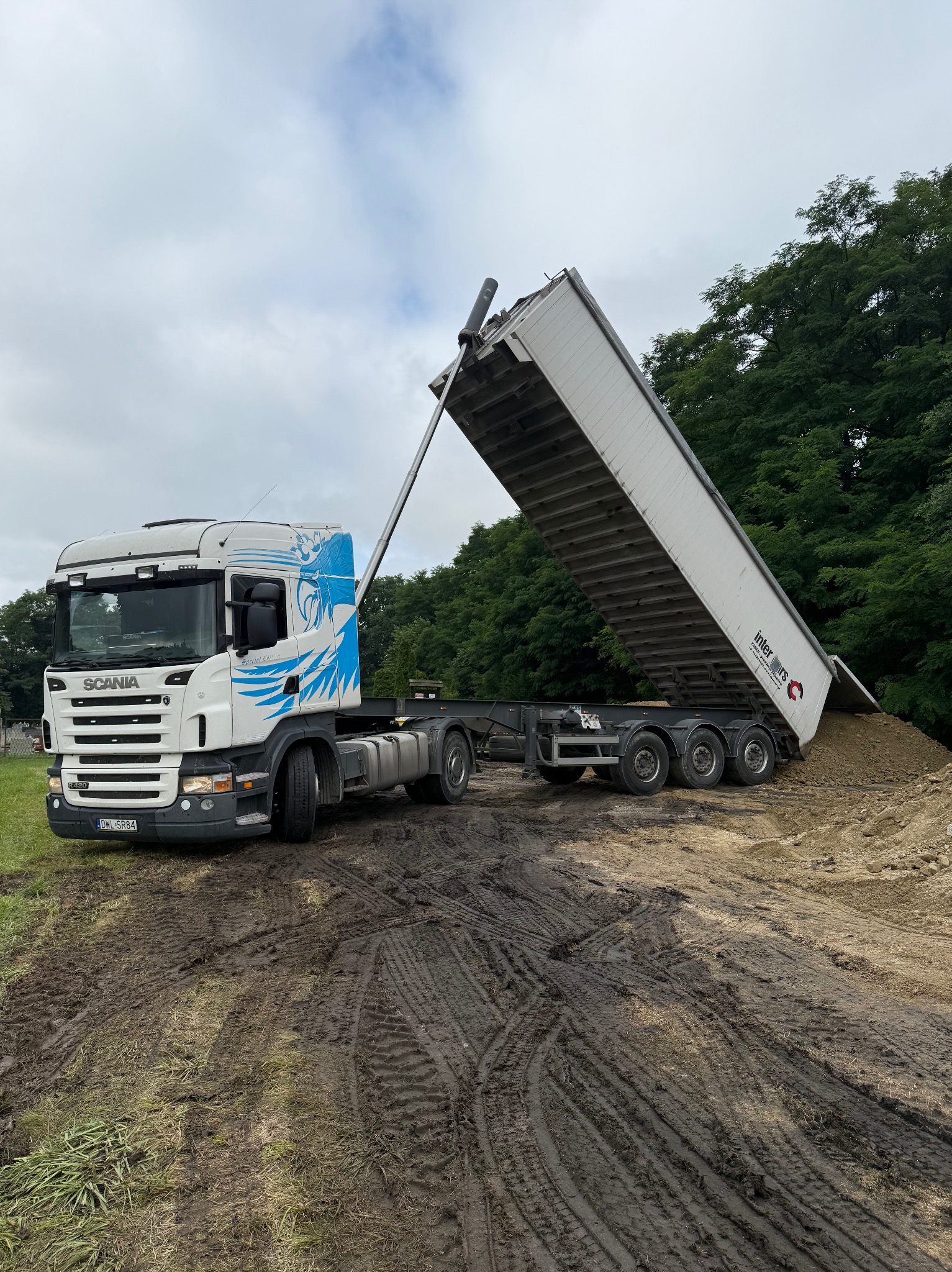 Biała ciężarówka Scania z niebieskim motywem orła wyładowuje piasek na błotnistym terenie. Widoczne ślady opon i drzewa w tle.