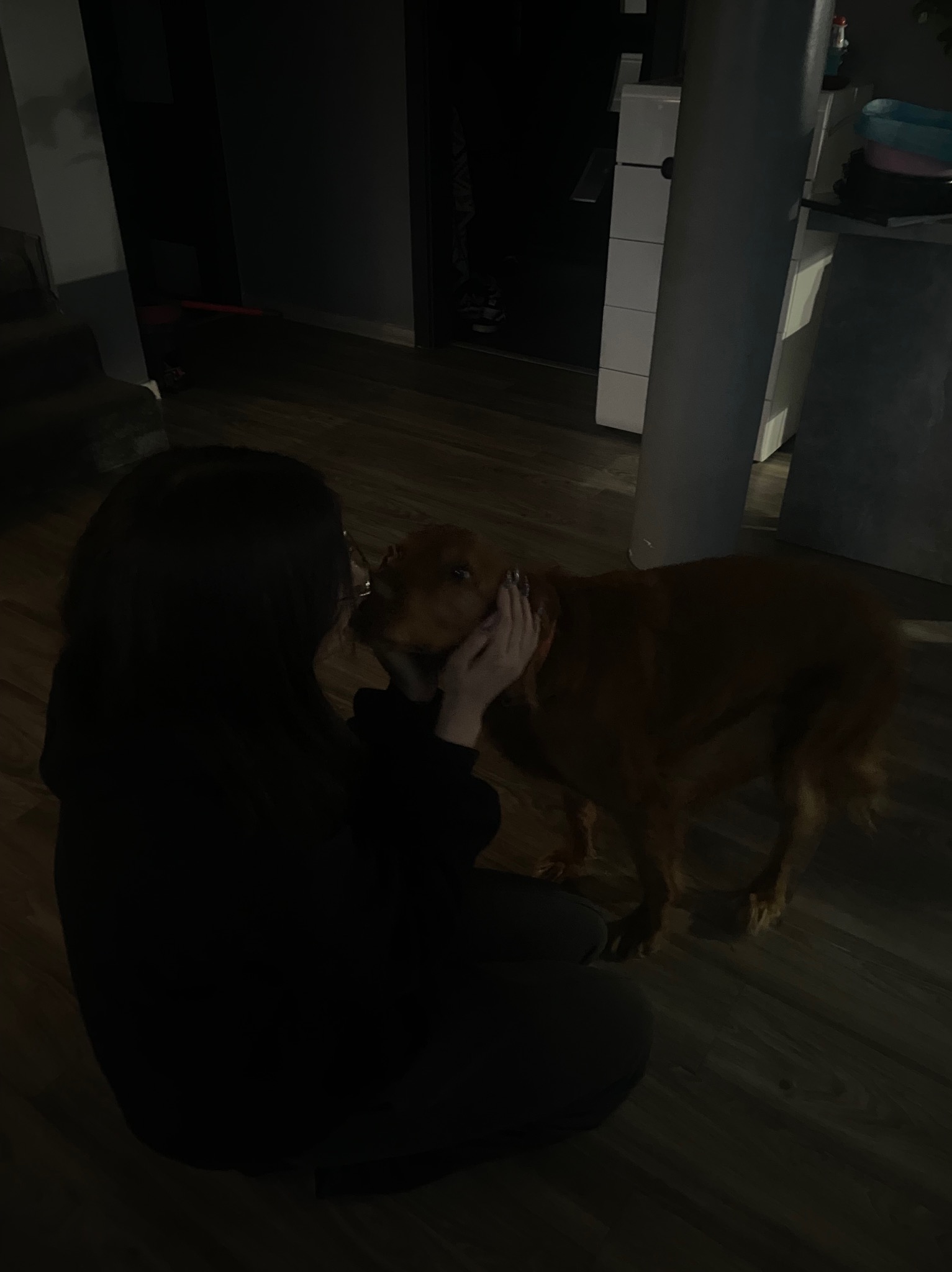 Kobieta w ciemnym ubraniu siedzi na podłodze i głaszcze dużego, rudego psa po głowie w słabo oświetlonym wnętrzu.