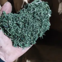 Dłoń trzymająca garść świeżo skoszonej, drobno posiekanej trawy z widocznymi źdźbłami i drobnymi listkami na tle brązowego worka.