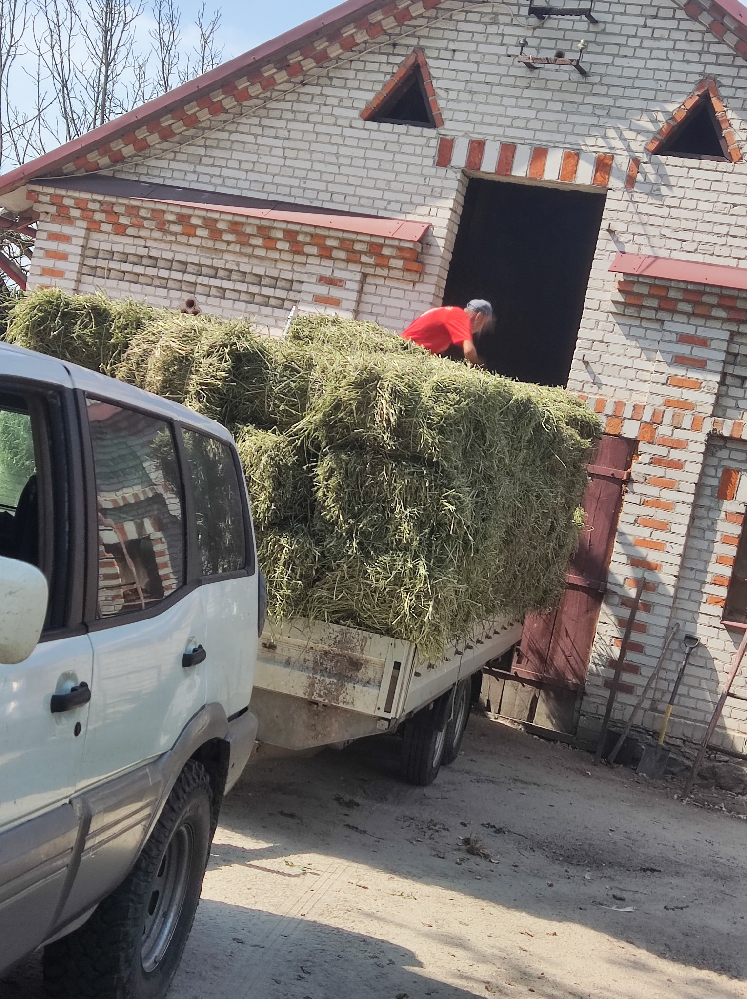 Przyczepa wypełniona świeżo skoszoną trawą, zaparkowana obok białego samochodu na tle murowanego budynku gospodarczego z otwartymi drzwiami, przez które widać sylwetkę osoby w czerwonej koszulce.