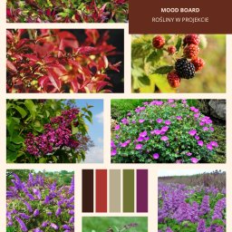 Przedstawienie roślin w koncepcji 2D