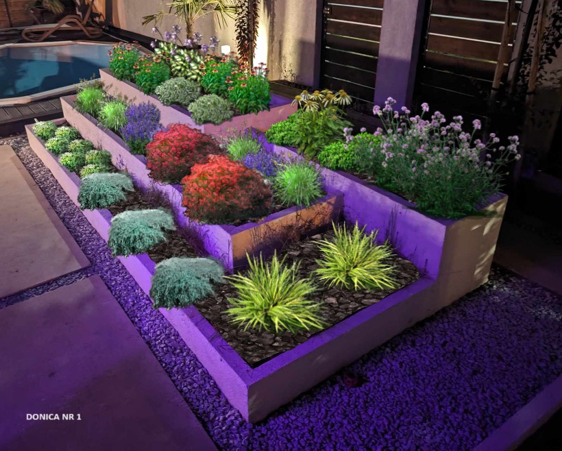 Wizualizacja nasadzeń w donicy nr 1. Szczecin