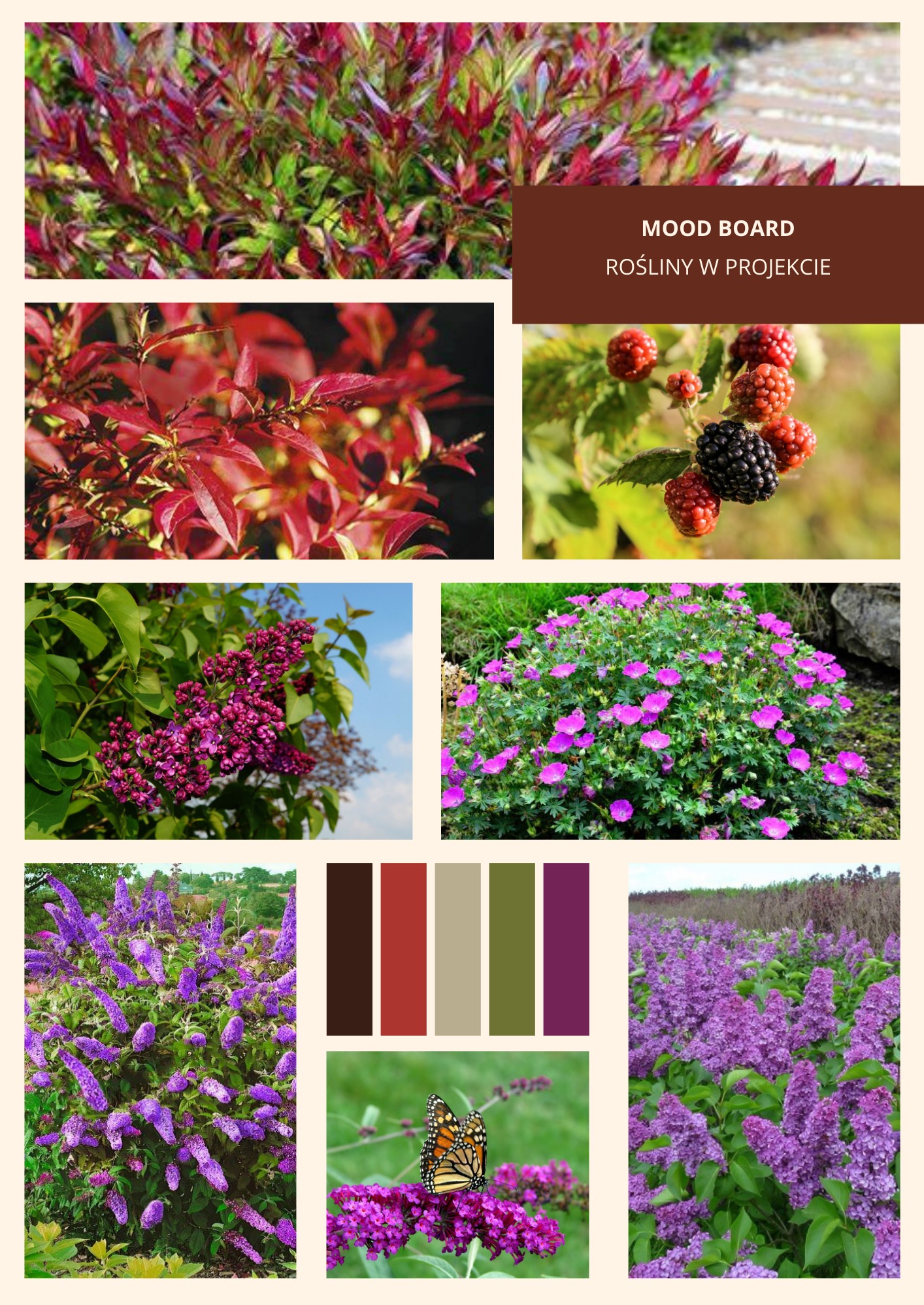 Przedstawienie roślin w koncepcji 2D