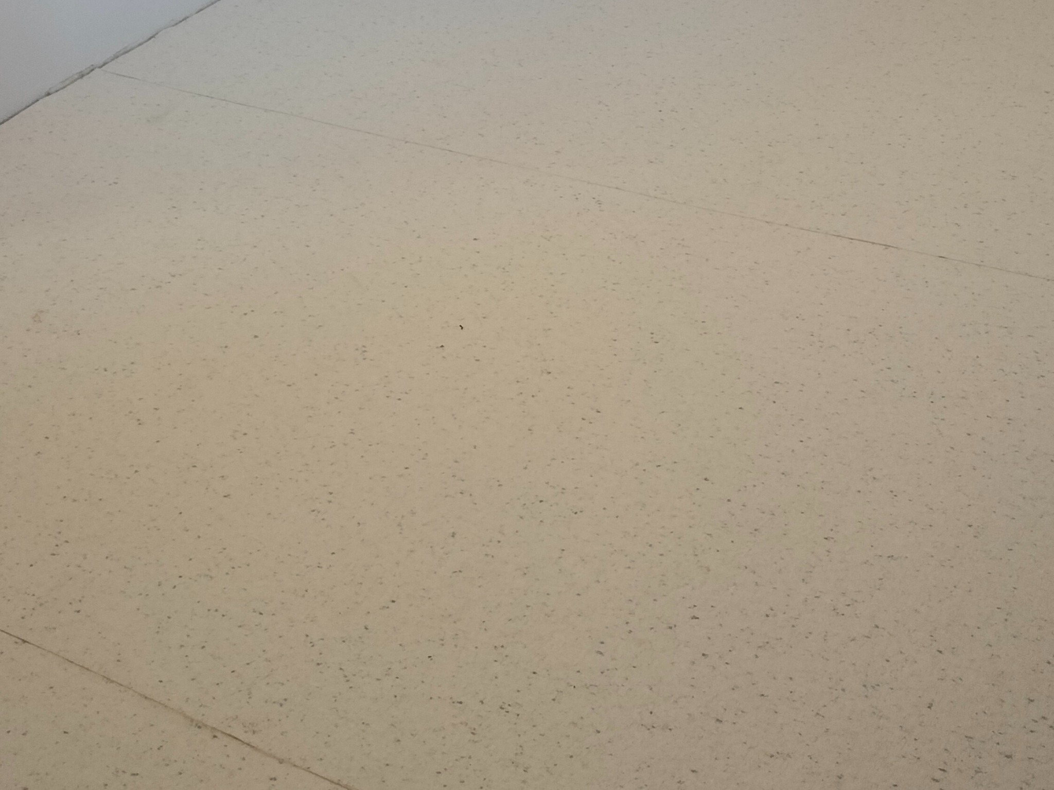 Jasna, jednolita wykładzina podłogowa z delikatnym wzorem, widoczne łączenia między panelami, tworzące regularny wzór. Minimalistyczne wykończenie wnętrza.