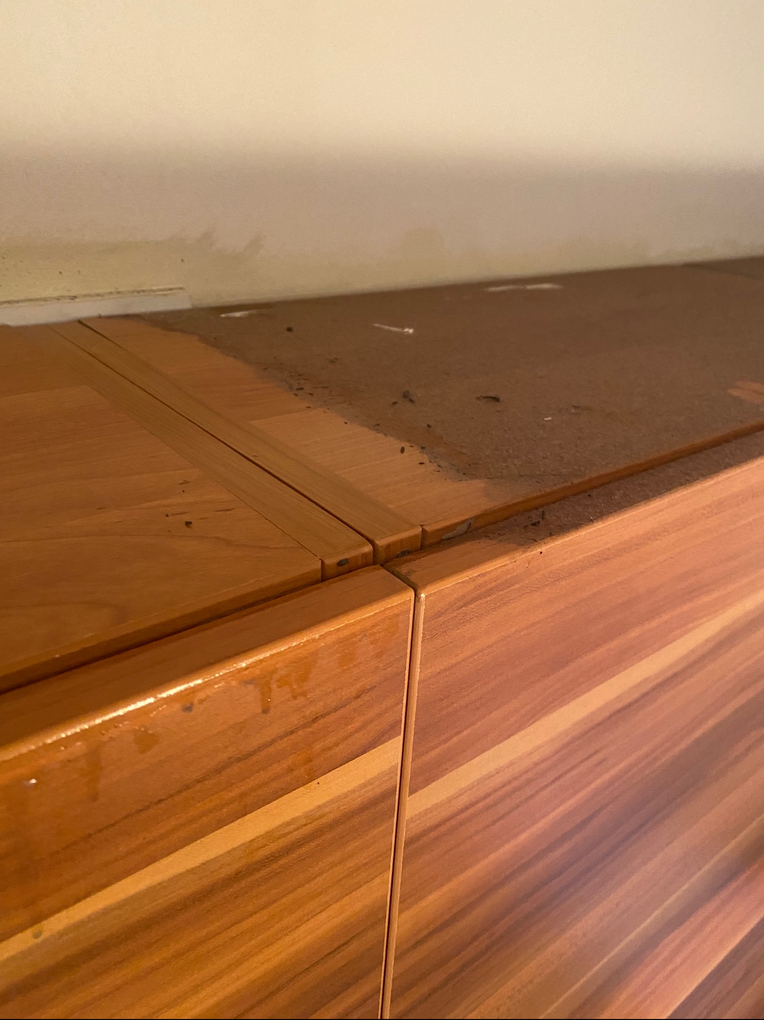 Sprzątanie po wyprowadzce