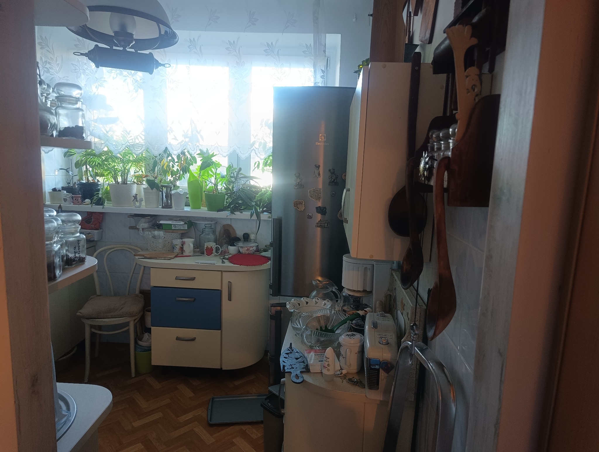 Jasna kuchnia z dużą ilością roślin doniczkowych na parapecie, widok na okno z firanką, lodówka z magnesami, drewniane łyżki wiszące na ścianie, krzesło i szafka z szufladami w tle.