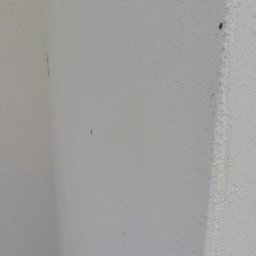 Bizoń Rafał usługi remontowo budowlane - Biała ściana w rogu pomieszczenia z widoczną fakturą i drobnymi niedoskonałościami, punktowe zabrudzenia na powierzchni.