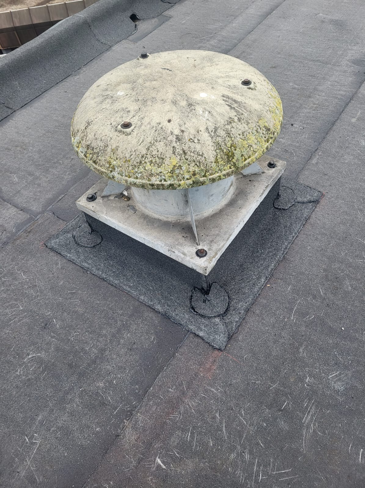 Szczegółowe ujęcie okrągłej, betonowej wentylacji pokrytej mchem na płaskim dachu pokrytym papą, z widocznymi śladami napraw i uszczelnieniami wokół podstawy.