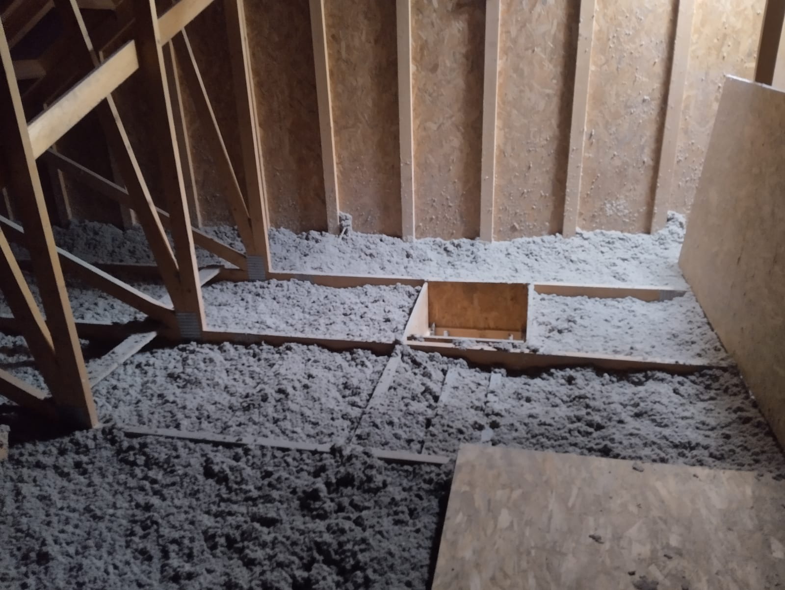 Poddasze w Lubinie z widoczną warstwą szarej izolacji z włókien mineralnych, ułożoną między drewnianymi belkami konstrukcyjnymi i płytami OSB.