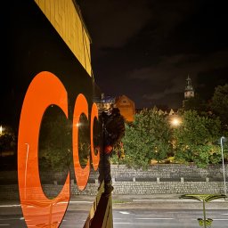 Wycinka drzew Jelenia Góra 1