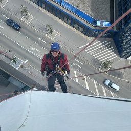 Wycinka drzew Jelenia Góra 2