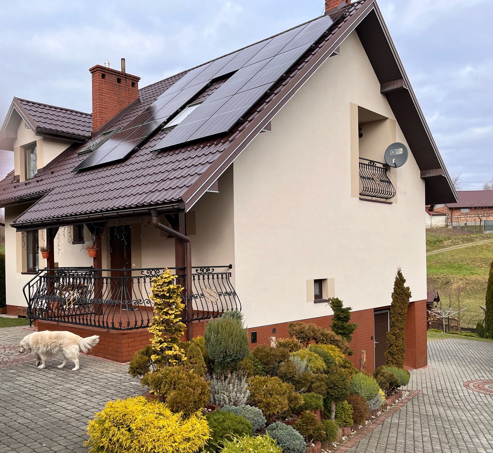 Dom jednorodzinny z brązowym dachem i panelami słonecznymi na dachu, widok z zewnątrz, w ogrodzie pies rasy golden retriever.