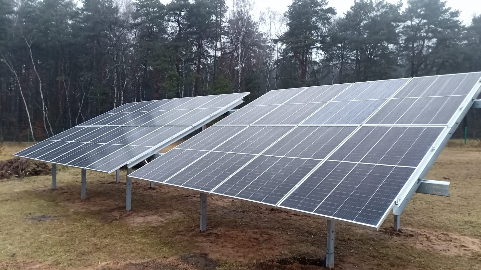 Dwa rzędy paneli słonecznych na metalowych wspornikach, zainstalowane na zewnątrz na trawiastym terenie, z lasem w tle w pochmurny dzień.
