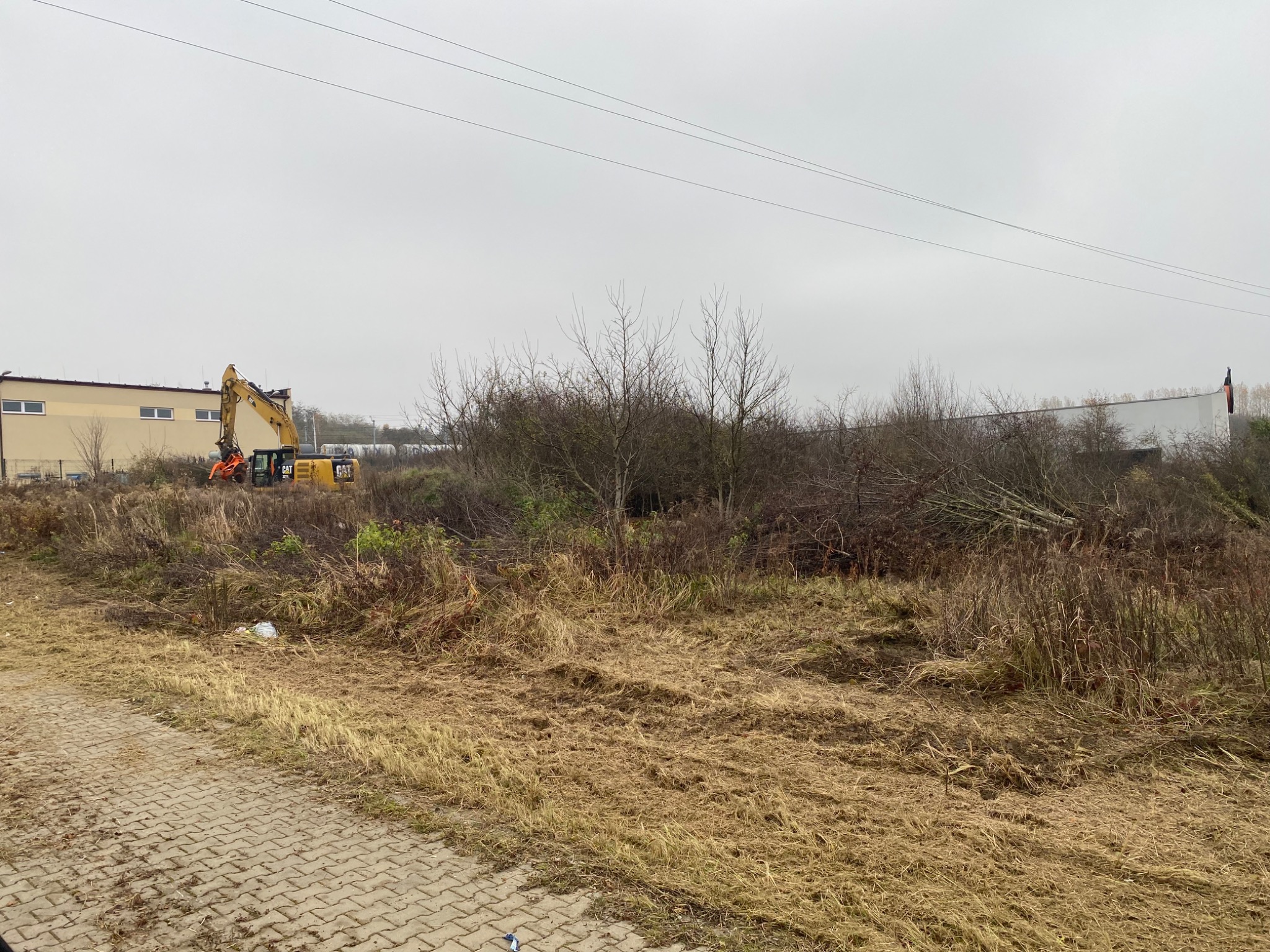 Żółta koparka CAT na terenie z wykarczowanymi krzakami i trawą, budynek przemysłowy w tle pod pochmurnym niebem.