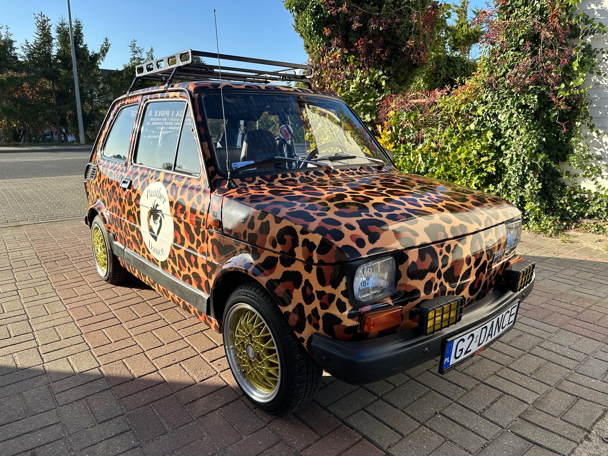 Mały, pomarańczowo-brązowy samochód oklejony wzorem panterki, z logotypem 'Panther Dance' na boku, złotymi felgami i bagażnikiem dachowym, zaparkowany na brukowanej powierzchni.