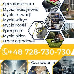 Wycinka drzew Oława 2