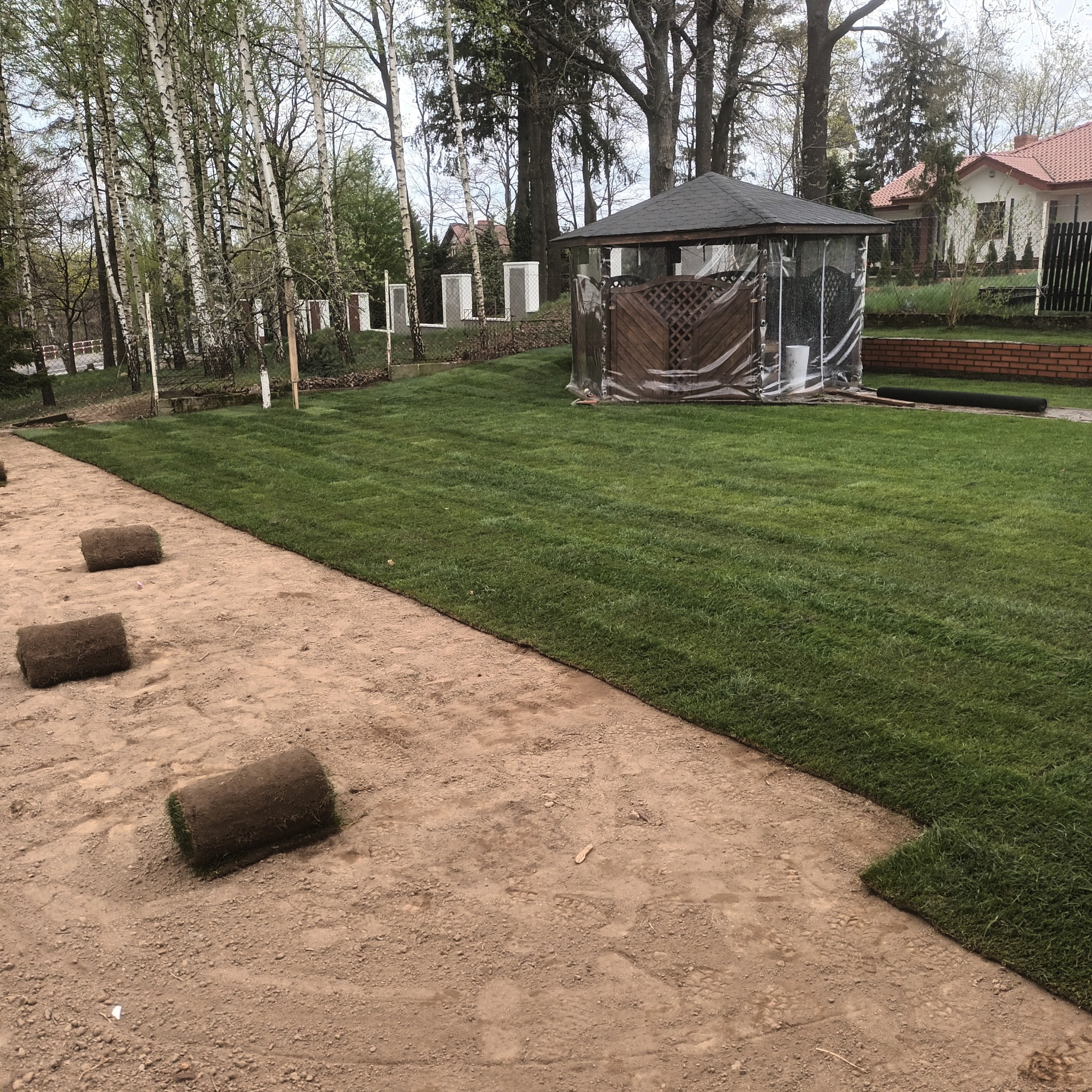 Rozwinięty trawnik z rolki w ogrodzie, widoczne nierozwinięte rolki trawy na ziemi, w tle altana z przezroczystą folią i drzewa.