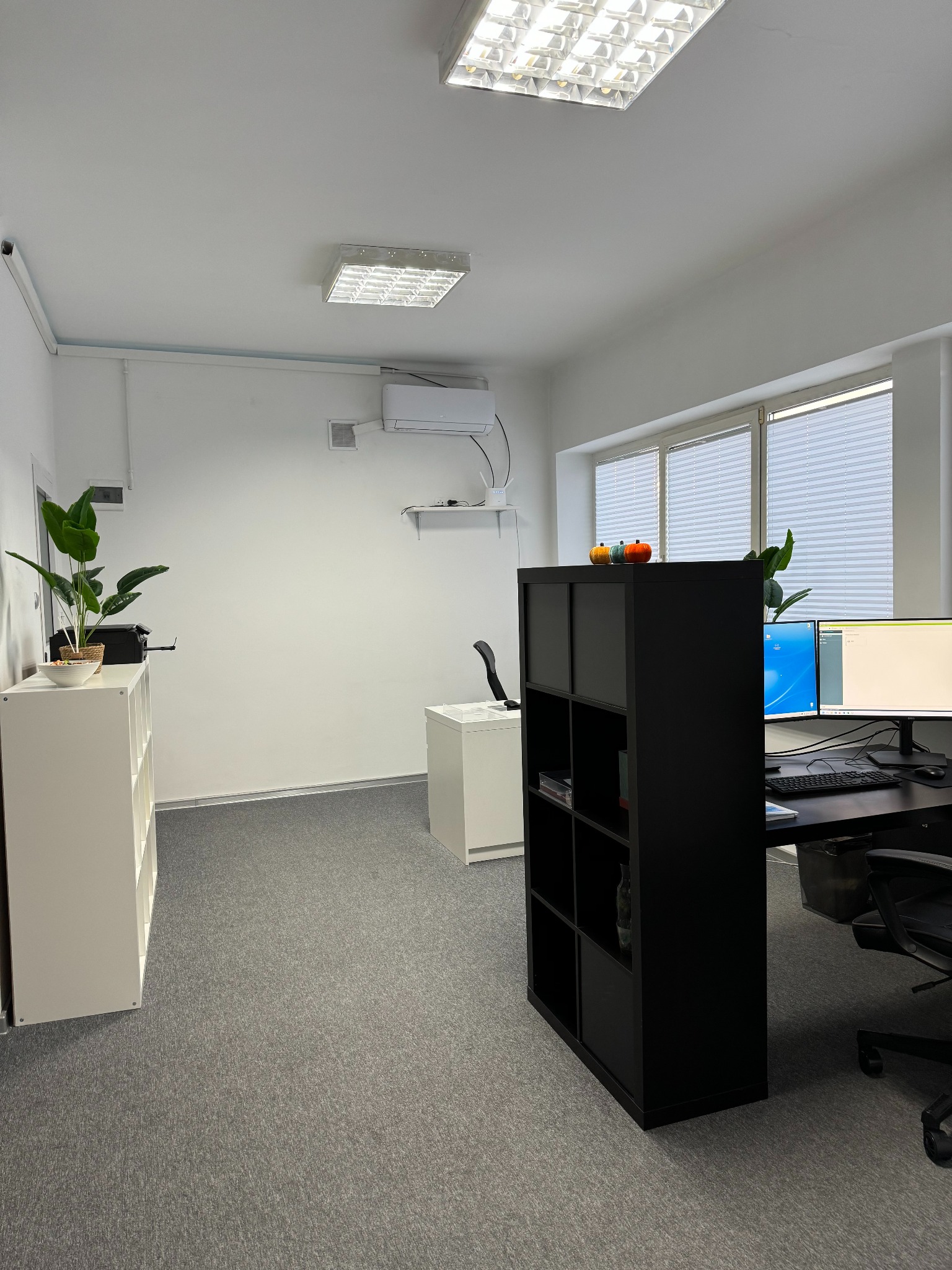 Jasne biuro z dwoma stanowiskami pracy, regałami, roślinami doniczkowymi i dywanem w kolorze szarym.