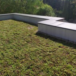 Malowanie mieszkań Poznań 3