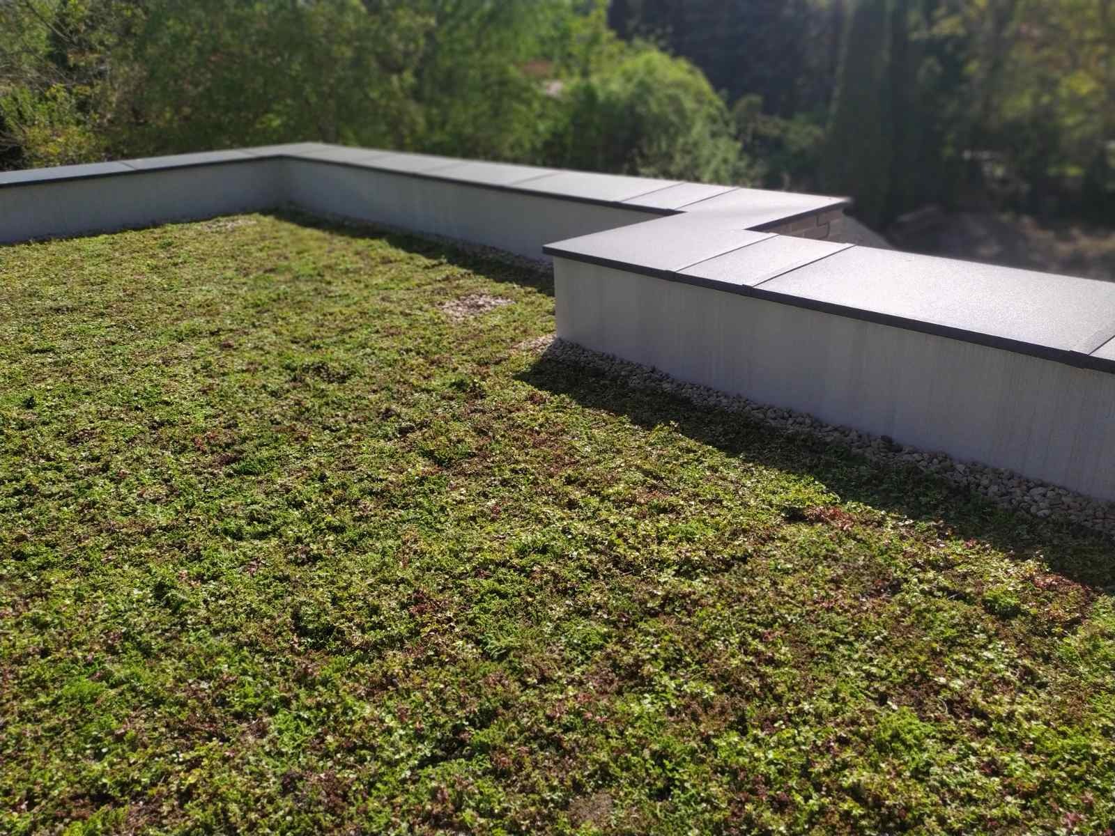 Zielony dach ekstensywny z obrzeżem z szarego betonu architektonicznego i czarnymi elementami wykończeniowymi, widok z góry w słoneczny dzień.