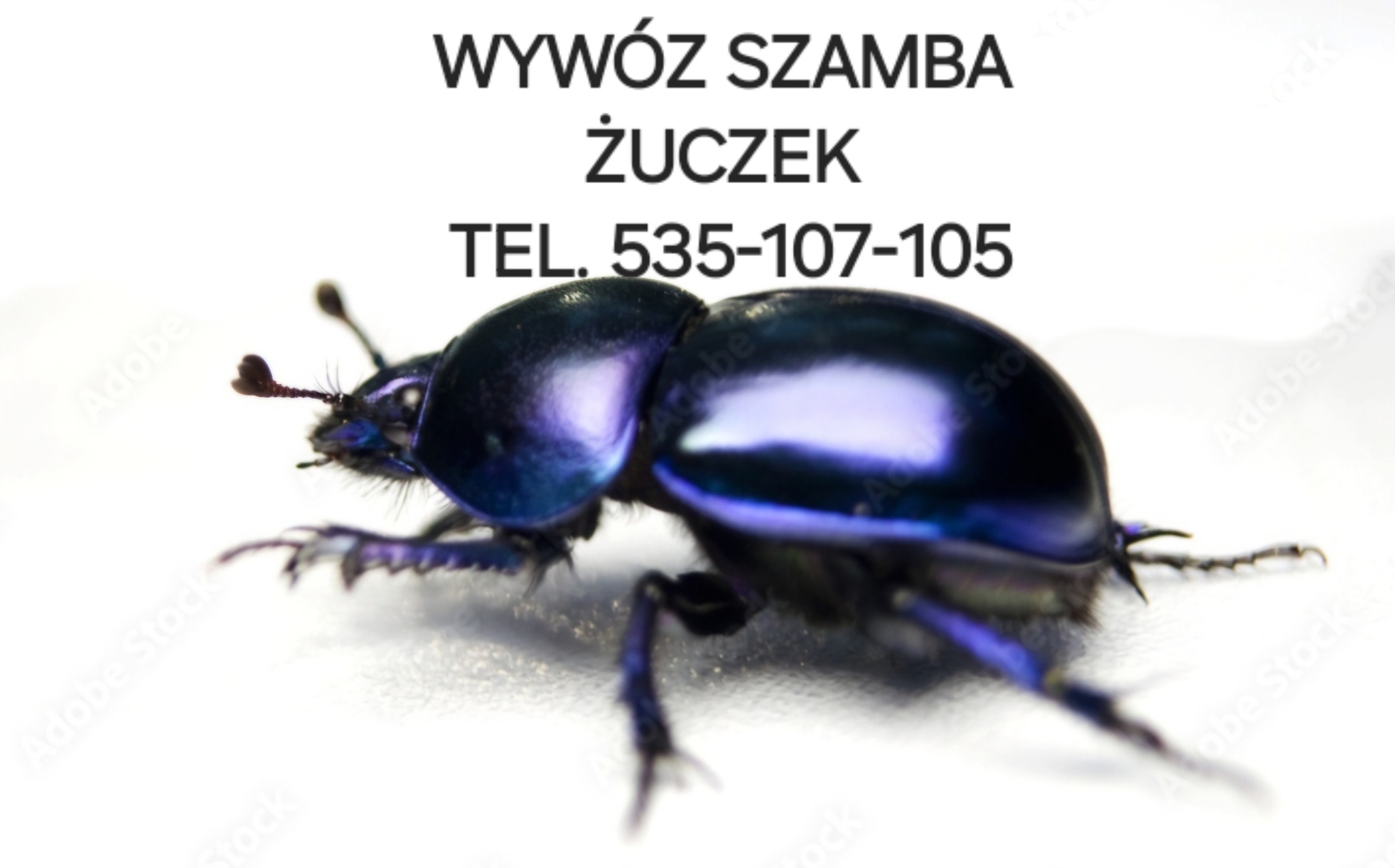 Błyszczący, granatowy żuk na białym tle, z tekstem 'Wywóz Szamba Żuczek Tel. 535-107-105' powyżej, sugerujący usługi asenizacyjne.
