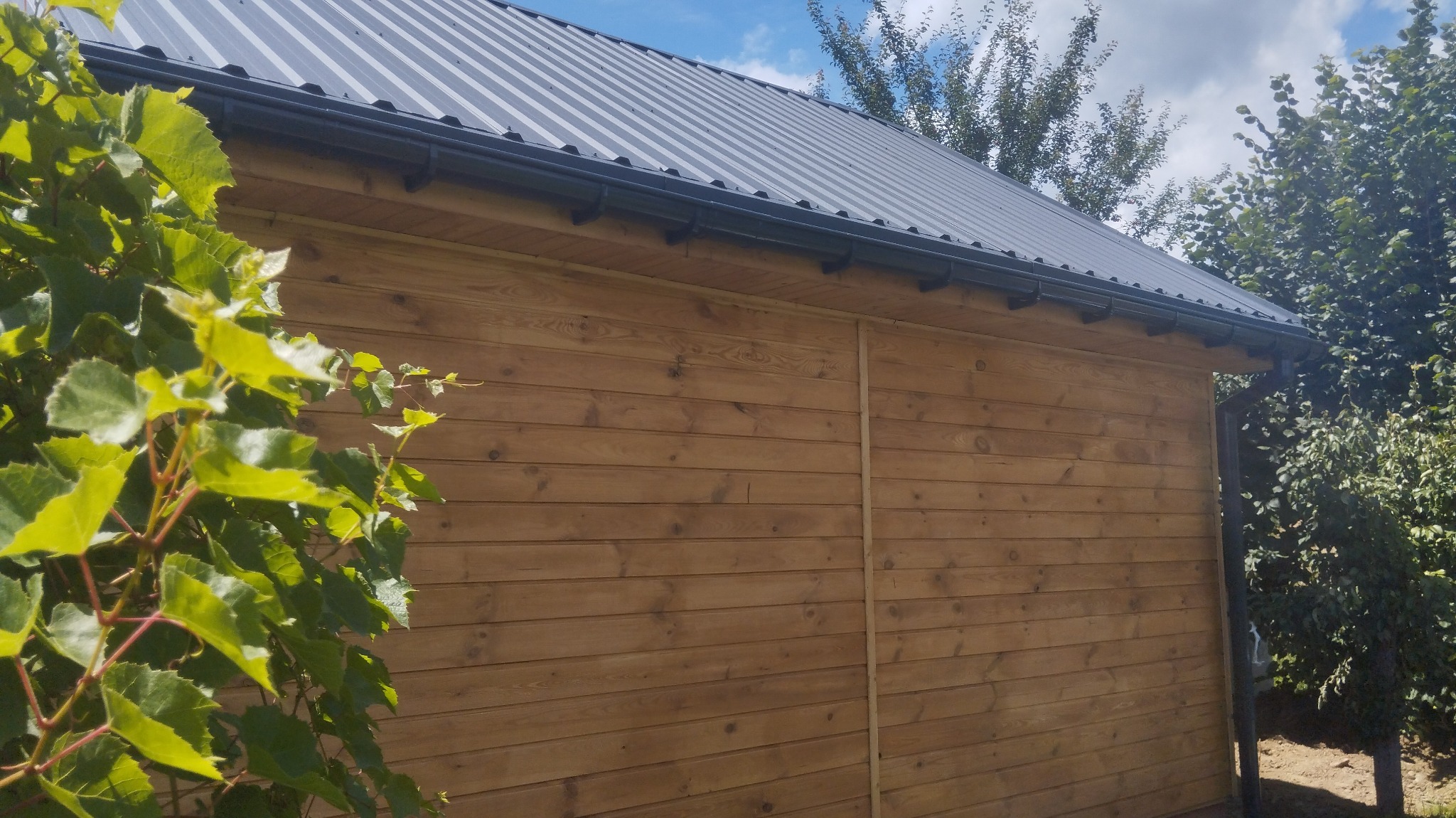 Ściana zewnętrzna drewnianego budynku z metalowym dachem i systemem rynnowym, częściowo zasłonięta przez zielone pnącze winorośli.