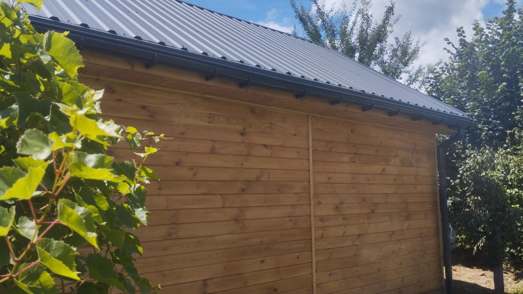 Ściana zewnętrzna domu z drewnianą elewacją i metalowym dachem, widok z boku, z bluszczem w lewym dolnym rogu.