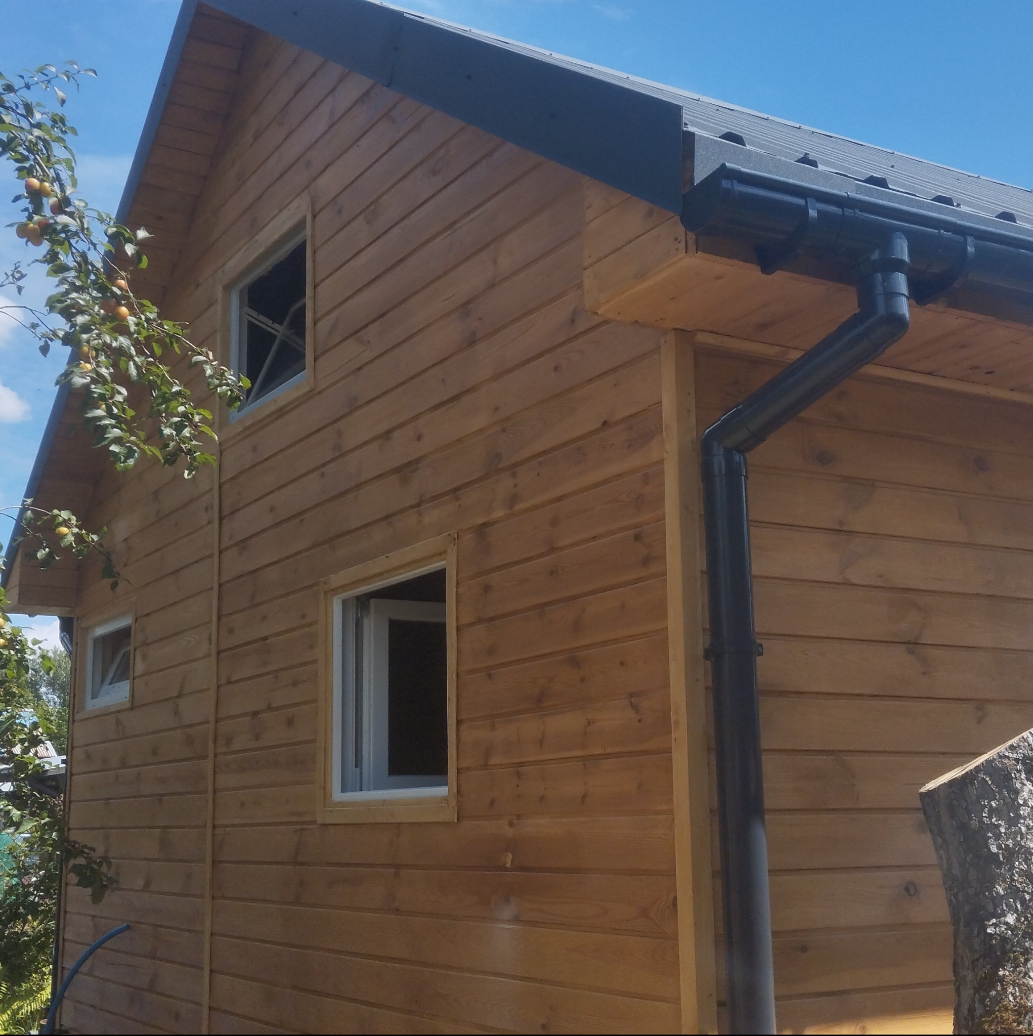 Zewnętrzny widok częściowo wykończonego drewnianego domu szkieletowego z widocznymi oknami bez szyb, czarną rynną i fragmentem drzewa owocowego w słoneczny dzień.