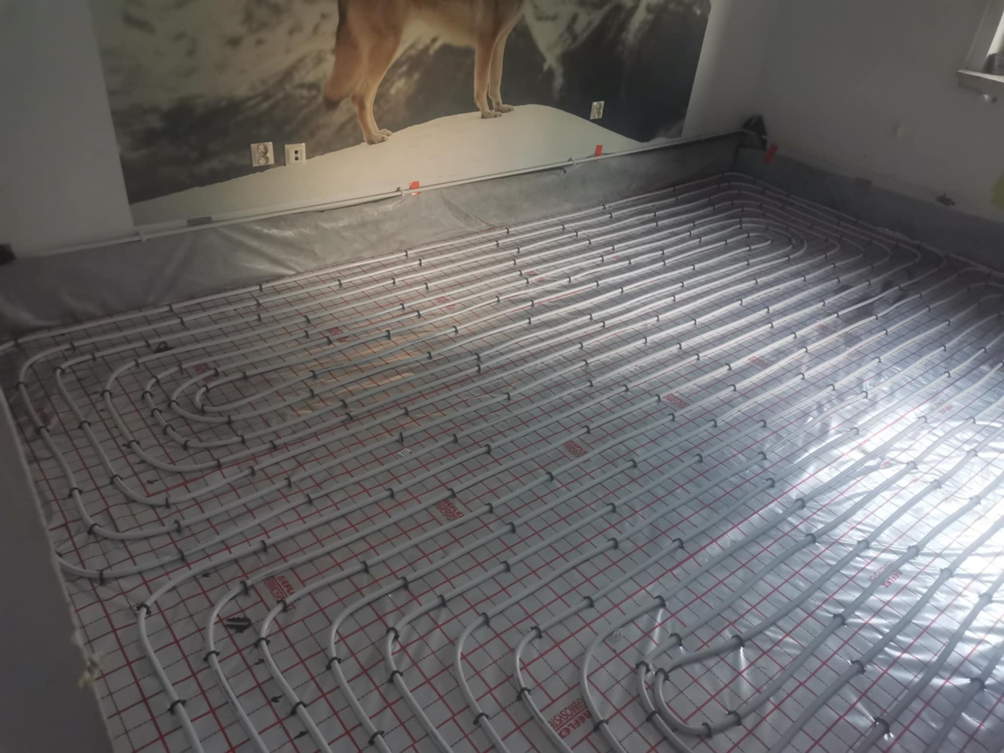 Ułożone rury ogrzewania podłogowego na folii z siatką, widok z góry. Na ścianie fototapeta z motywem górskim i wizerunkiem wilka.