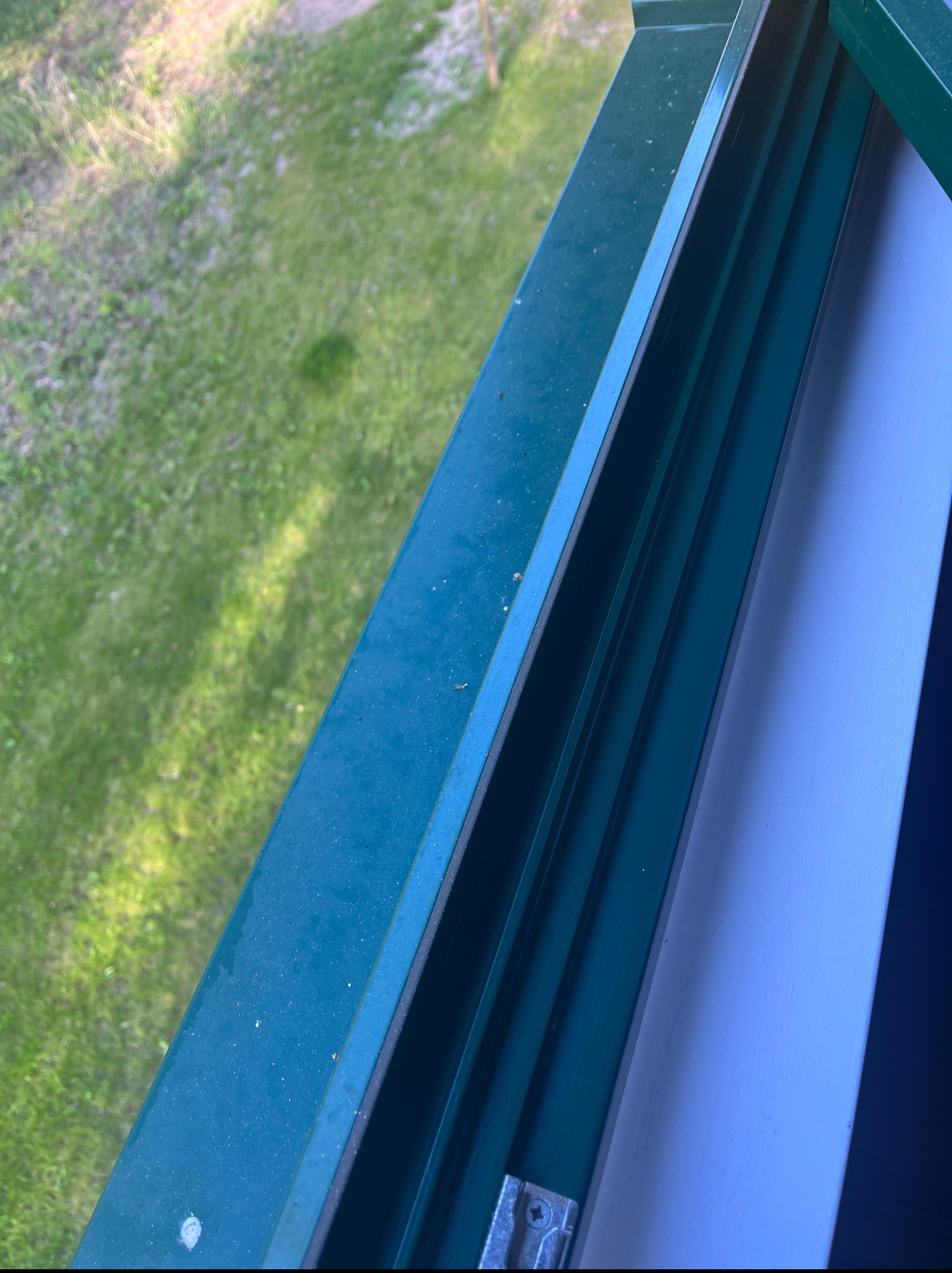 Widok z góry na zieloną, metalową ramę okienną, z widoczną trawą w tle i fragmentem białej ściany.  Fragment okna po umyciu.