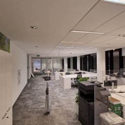 GRUPA DB - Przestronne biuro z białymi biurkami, krzesłami i roślinami doniczkowymi, oddzielone szklanymi przegrodami, z widocznym fragmentem fototapety przedstawiającej budynki w tle